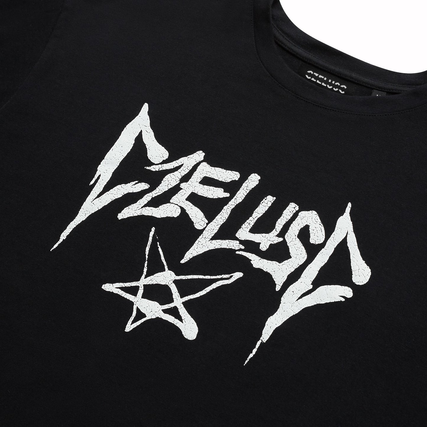 T-SHIRT CZELUŚĆ 2025
